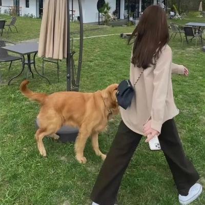 通天老虎